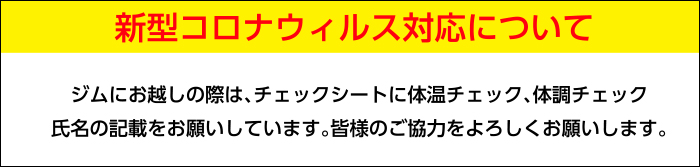 スケジュール